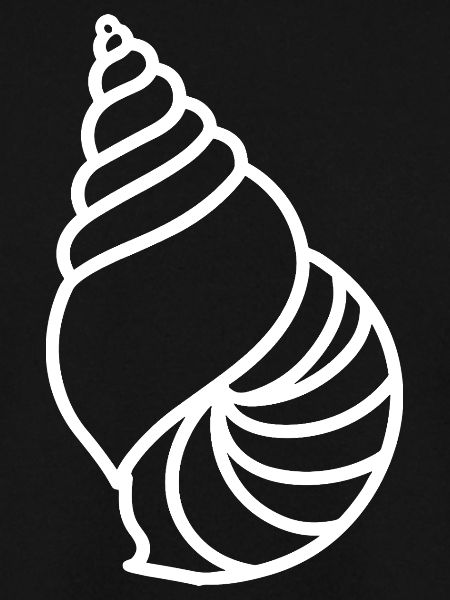 shell