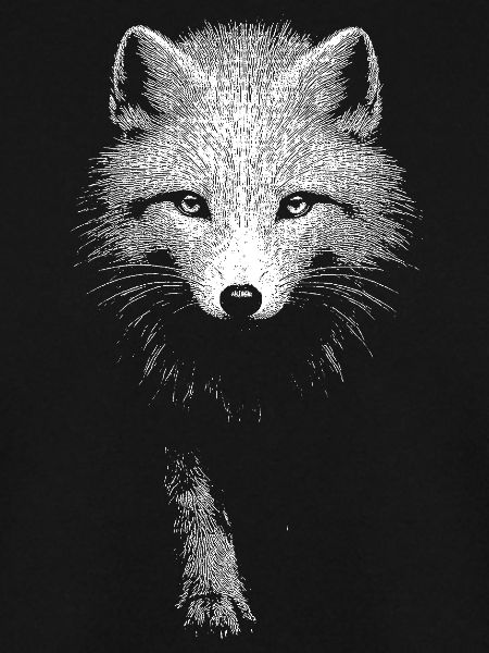 Arctic fox