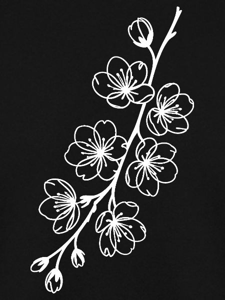 Sakura Linienkunst auf Schwarz