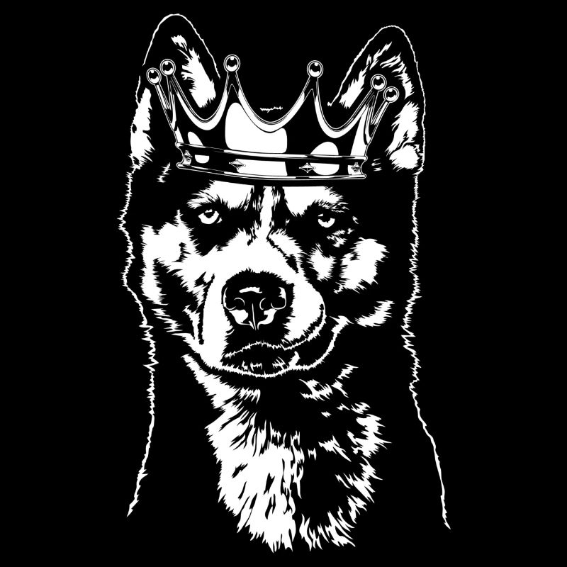 SIBERIAN HUSKY chiens chiens chien Wilsigns