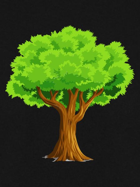 Baum