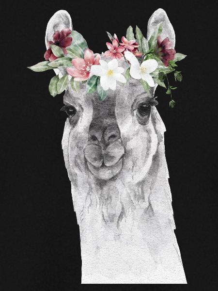 Llama