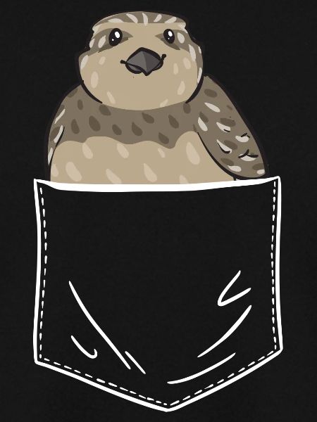 Quail Bird