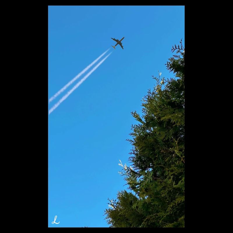 Plane
