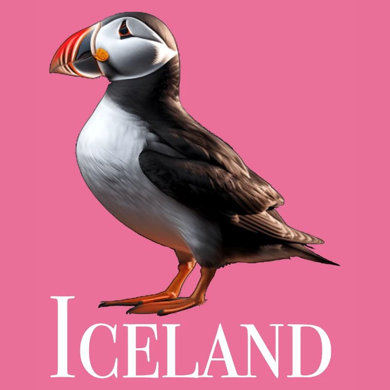 Iceland Puffin