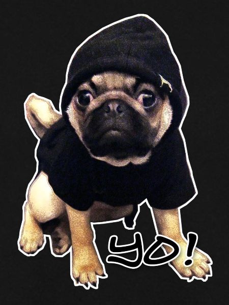 yo_mops_3
