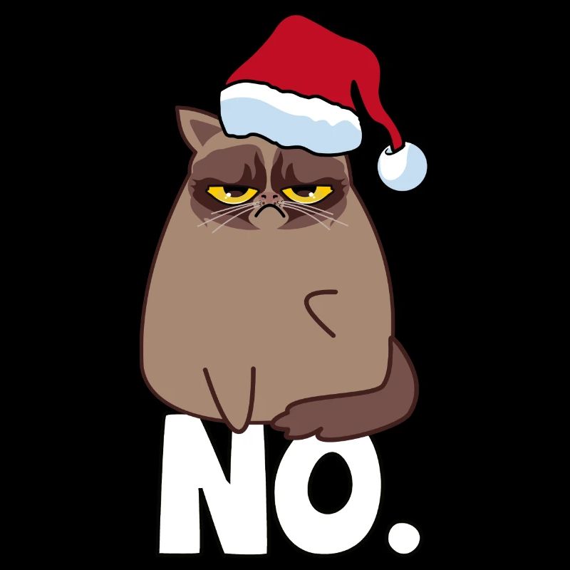 Pull grincheux chat