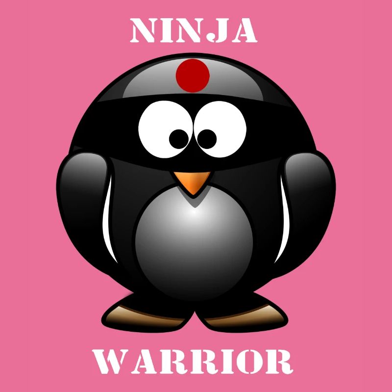 Ninja guerrier