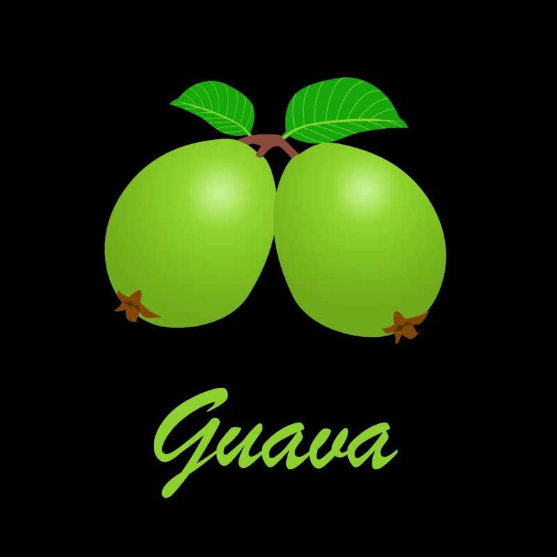 Idée de cadeau bio santé bio goyave végétalien