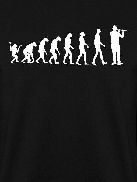 Flötist Evolution Querflötist Flötist