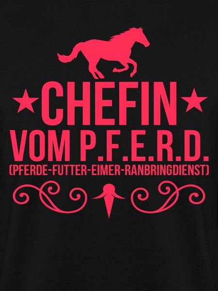 Pferde