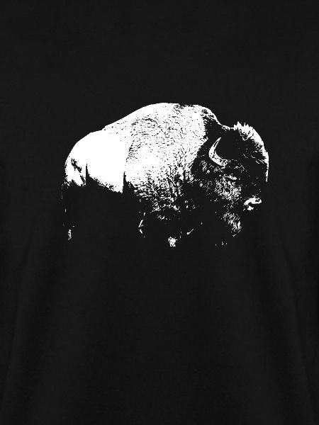 Bison Buffalo