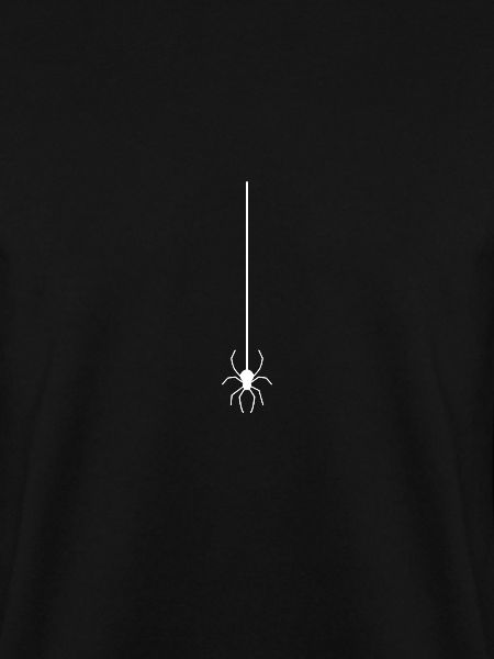 Spinne Am Faden