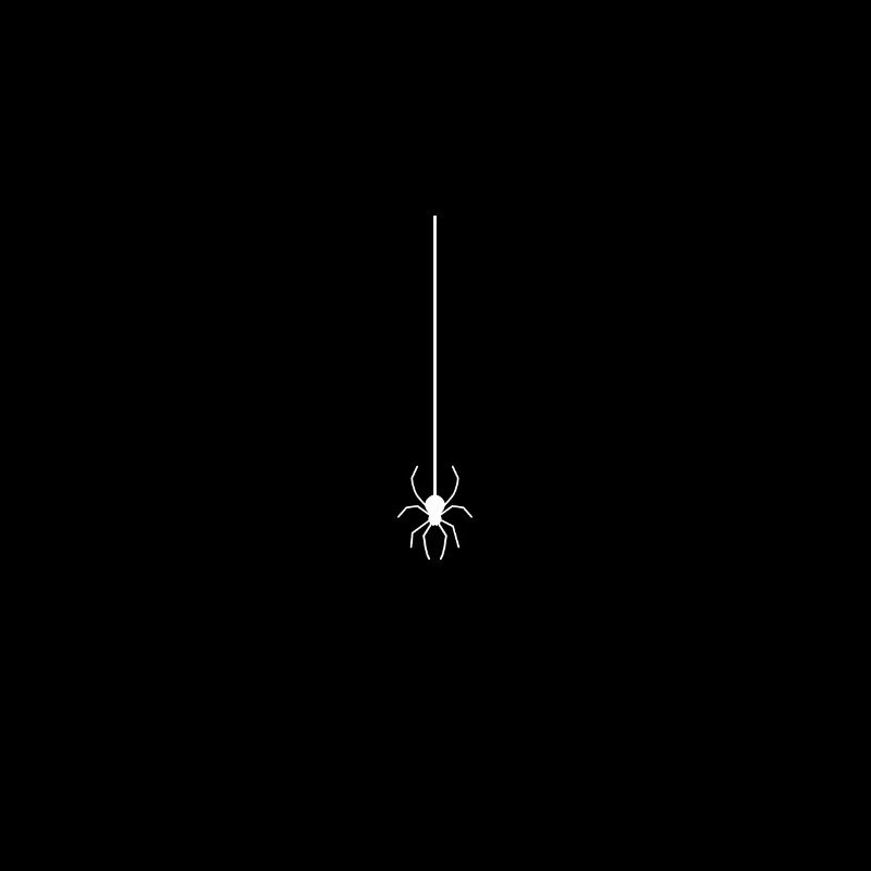 Spider on the thread