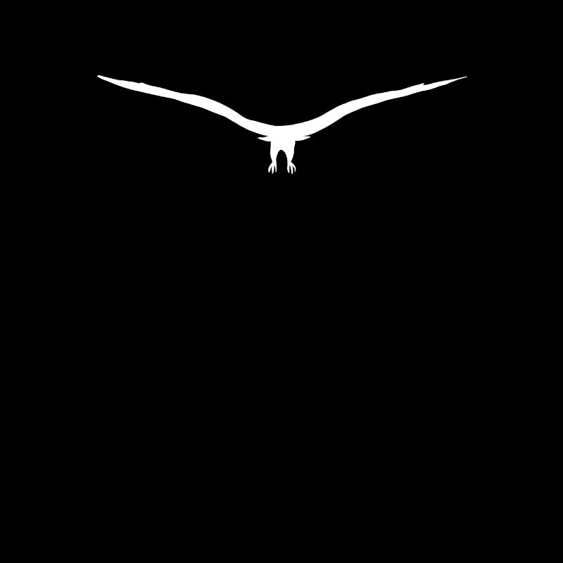 Silhouette de buse d'aigle ou de faucon approchant