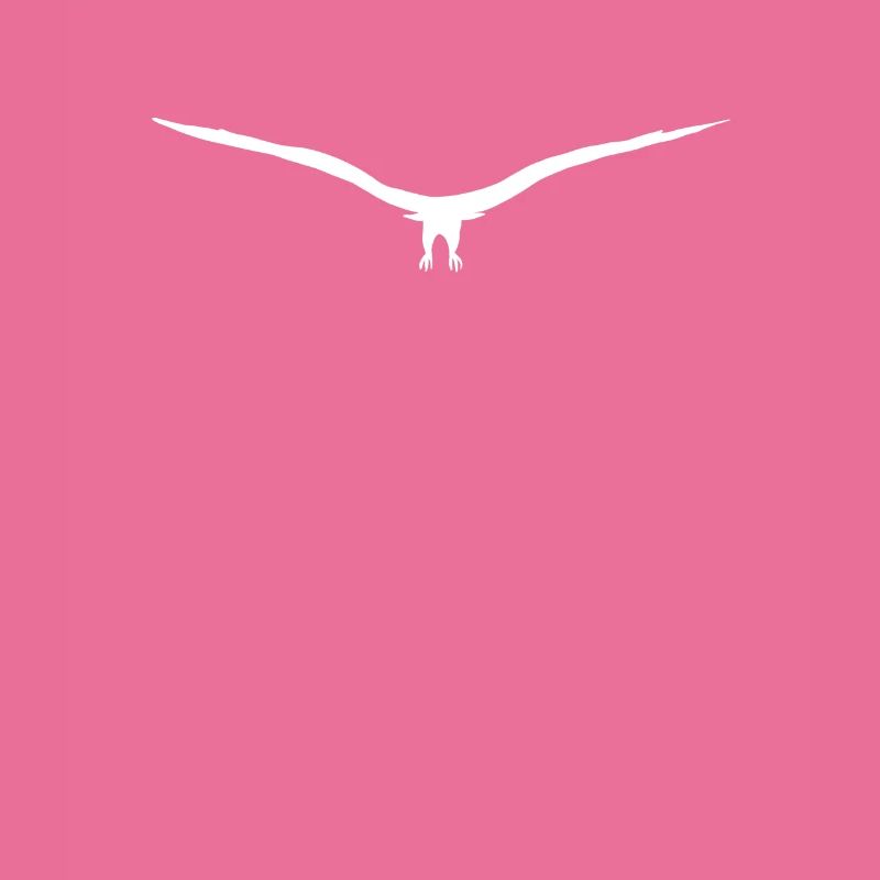 Eagle buzzard or hawk silhouette approaching