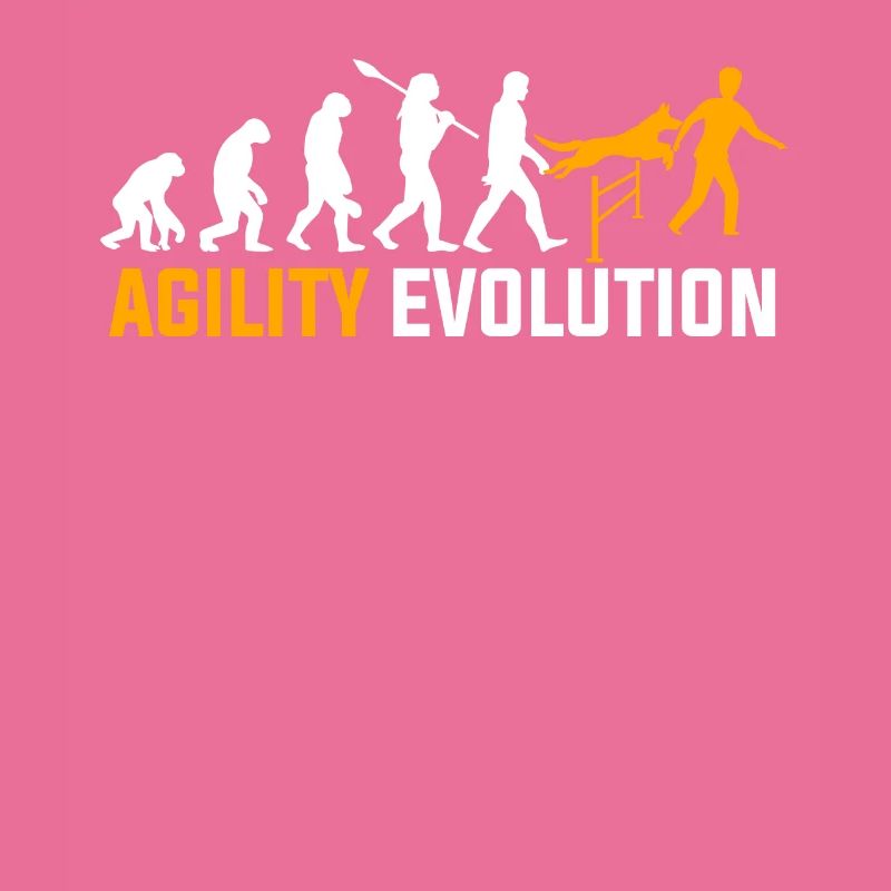 Agility Evolution