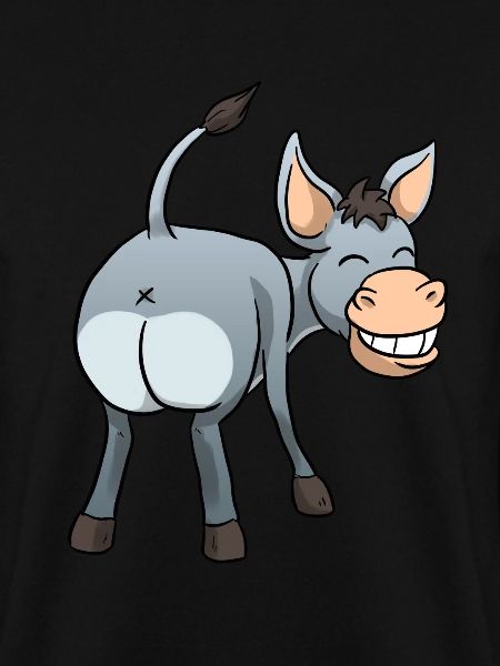 Funny donkey