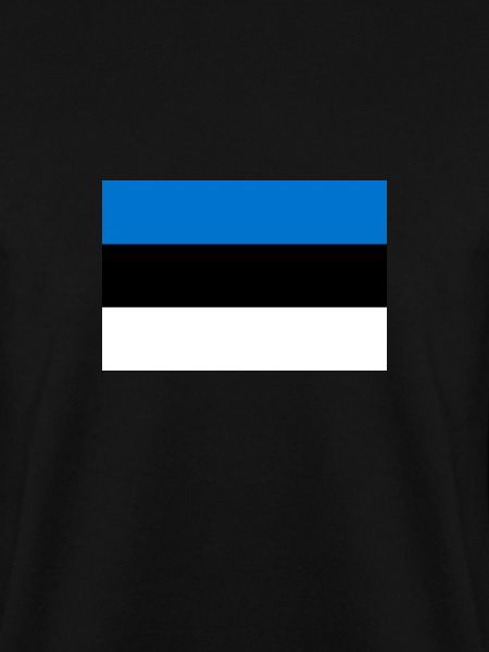 Estonia Estonian flag flag
