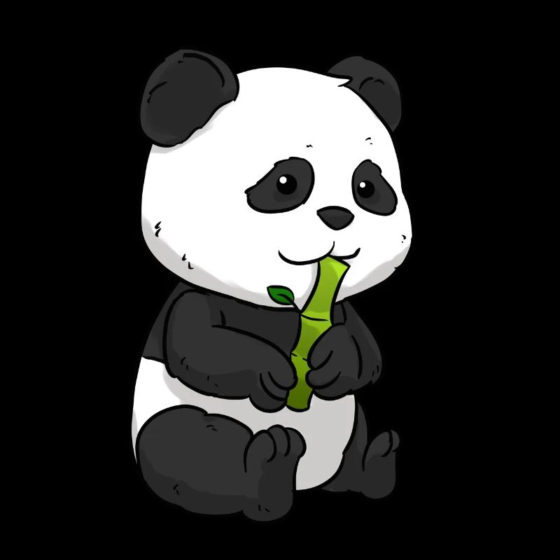 Panda Bambus Pandabär