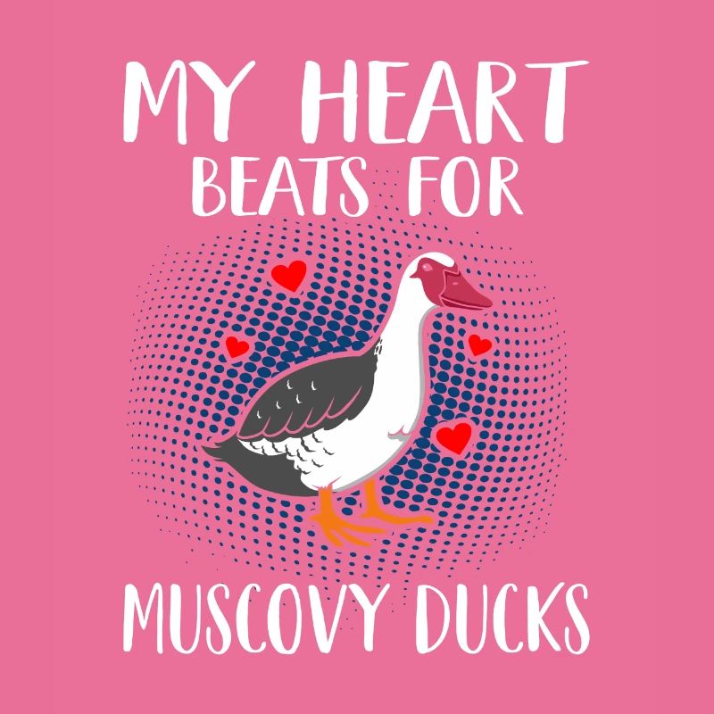 Muscovy Ducks
