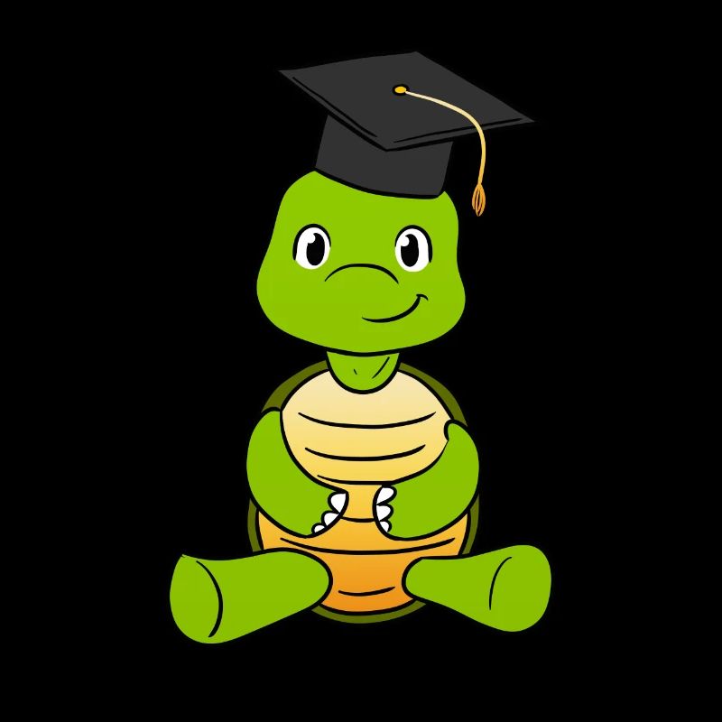 Graduation Turtle