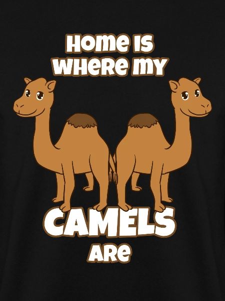 Camels