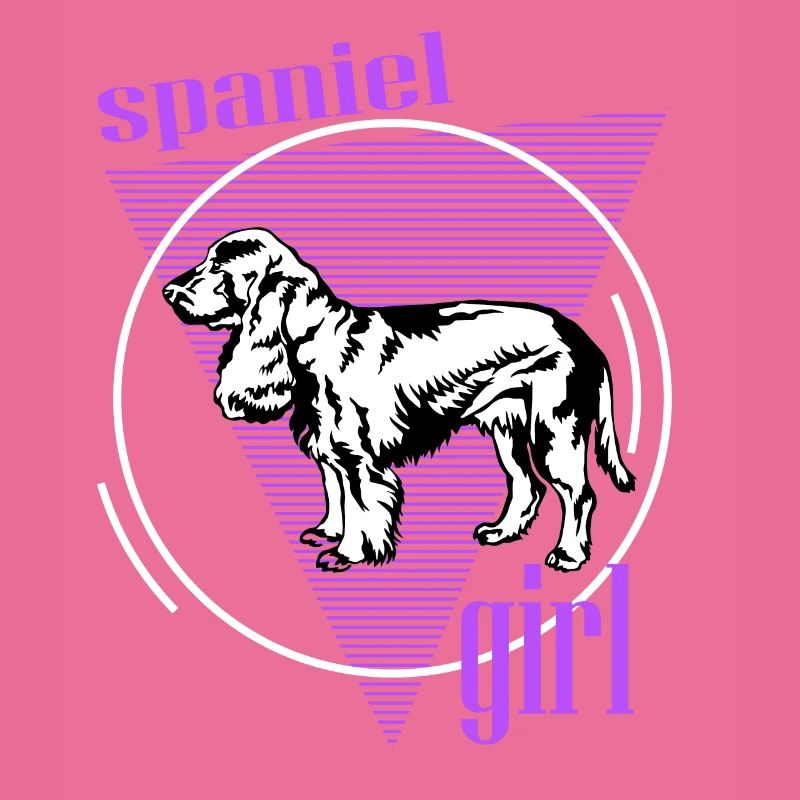 Épagneul, Springer Spaniel, Spaniel For Spaniel Gi
