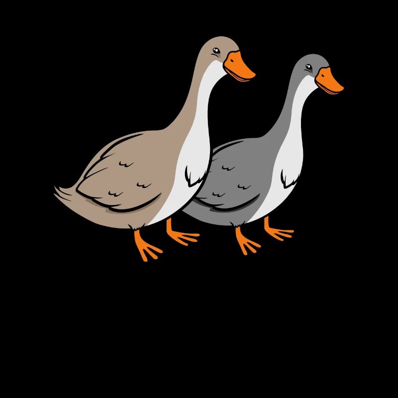 Ducks
