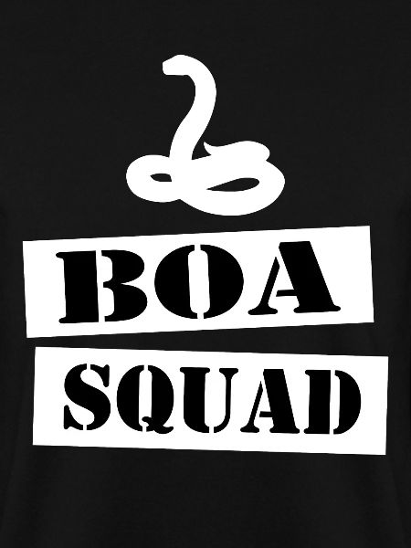 rejoignez l'équipe de boa
