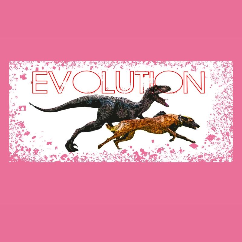 Evolution Comic Hund