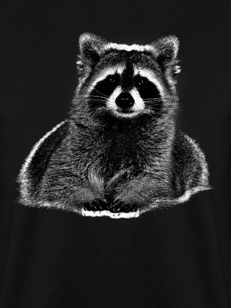 Waschbär