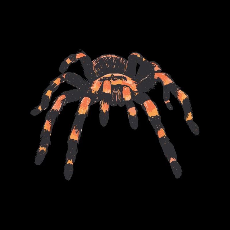 Vogelspinne Spinne Spinnen
