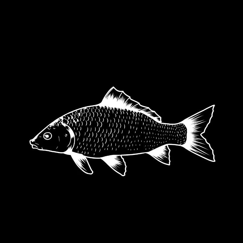 Pêche Pêche Pêche Hobby Animaux aquatiques