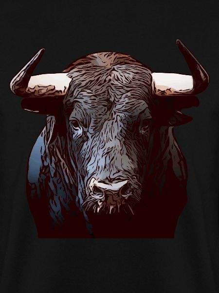 Stier Bulle Tiergesicht Tier