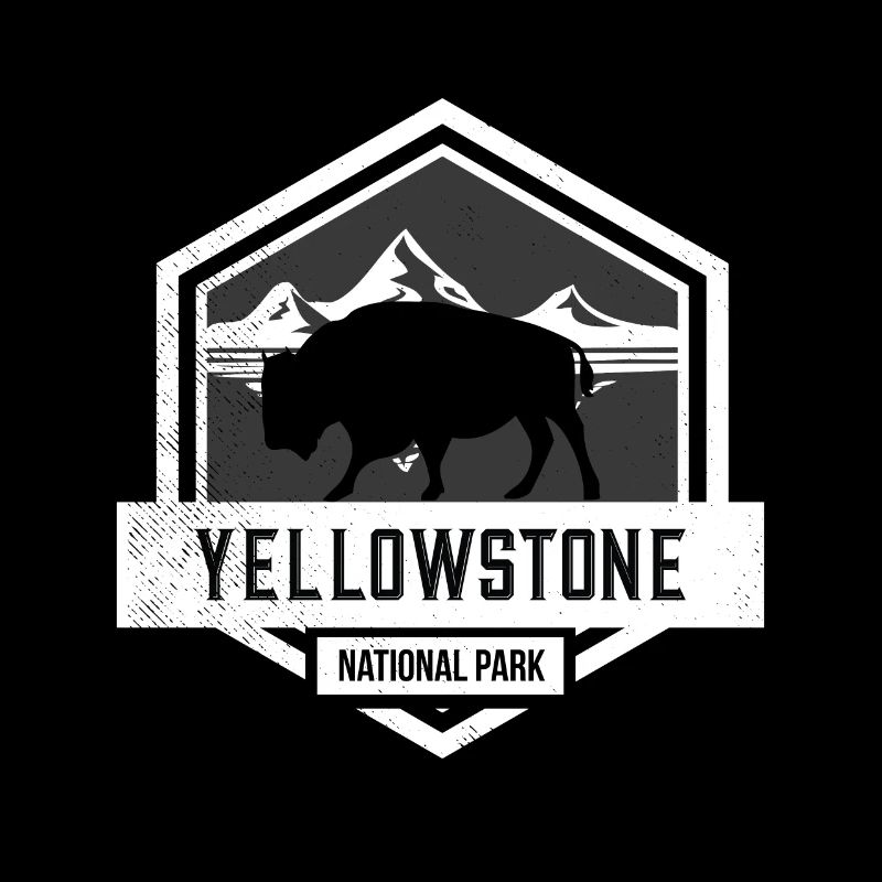 Yellowstone National Park Bison