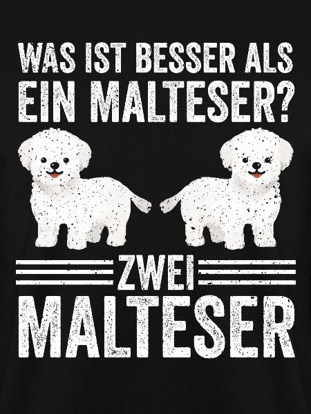 Zwei Malteser Hund Malteser
