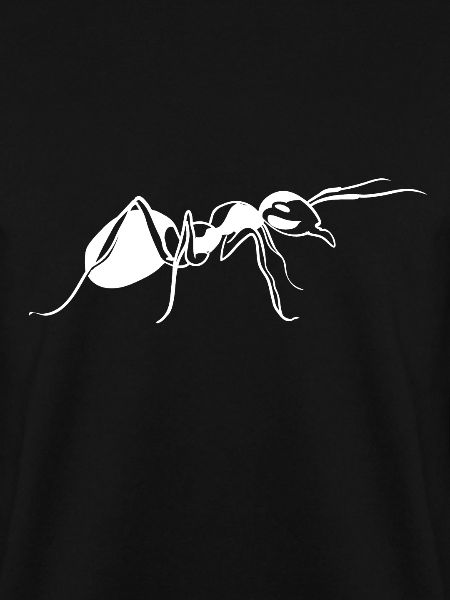 Ant