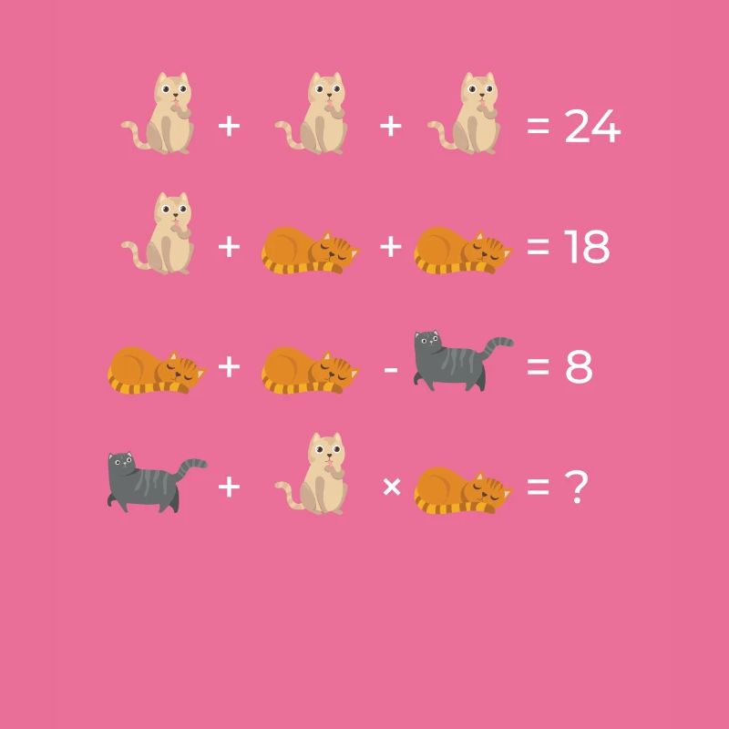 Cat Math Math Math Équations Cadeau