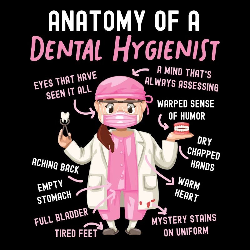 Hygiéniste dentaire Anatomie Anatomie