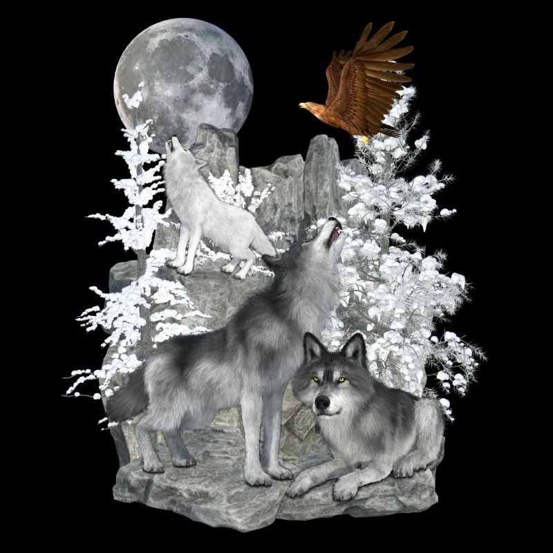 Wölfe,Winter, Adler, Mond