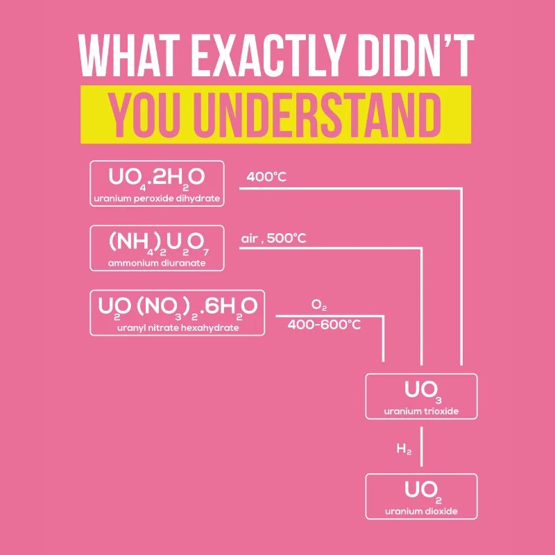 Nuclear Engineering Nuclear Nuclear Professor