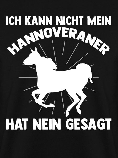 Reitstall Reiten Pferd Hannoveraner