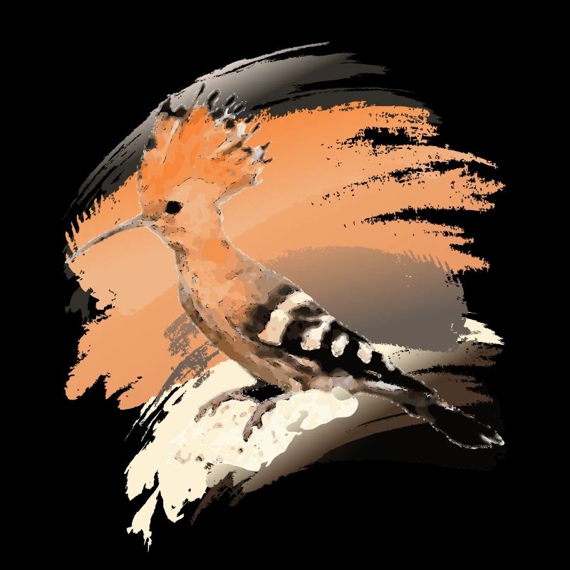 Huppe (Upupa epops) Oiseau de l’année 2022
