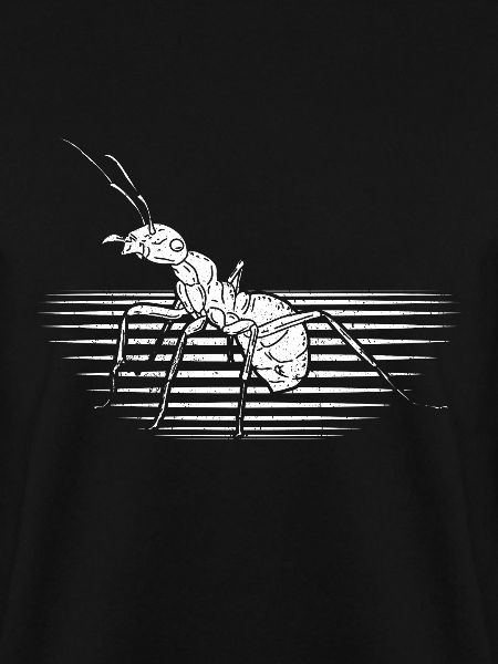 Ant insect