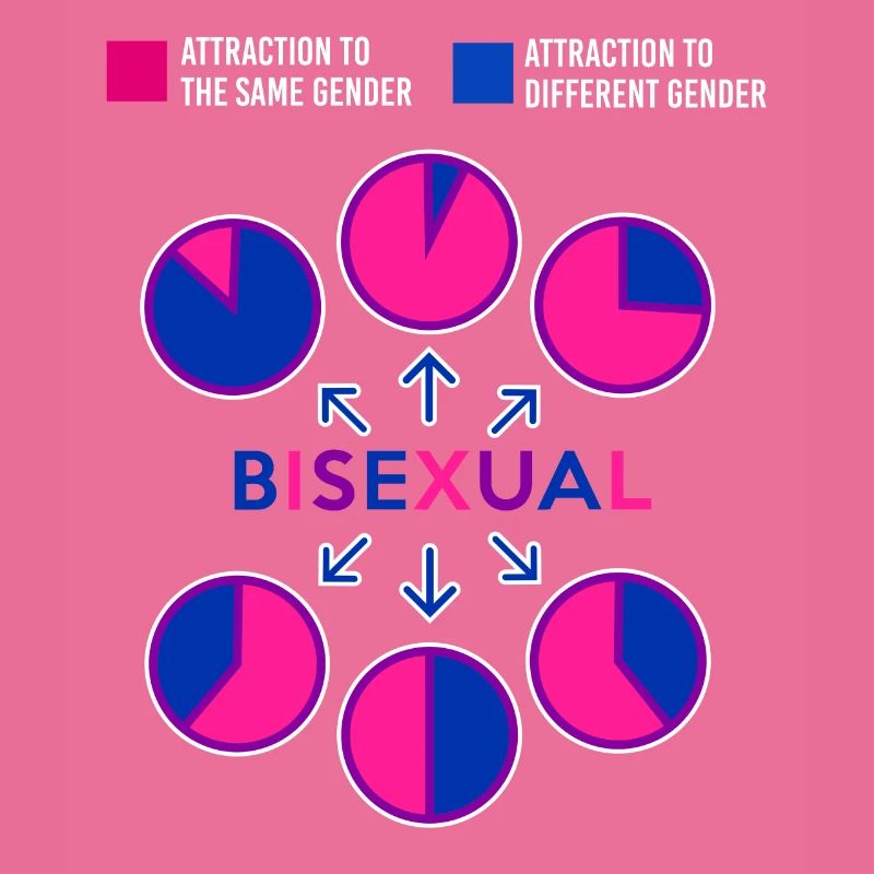 Bisexual Bi Pride Flag Pie Chart