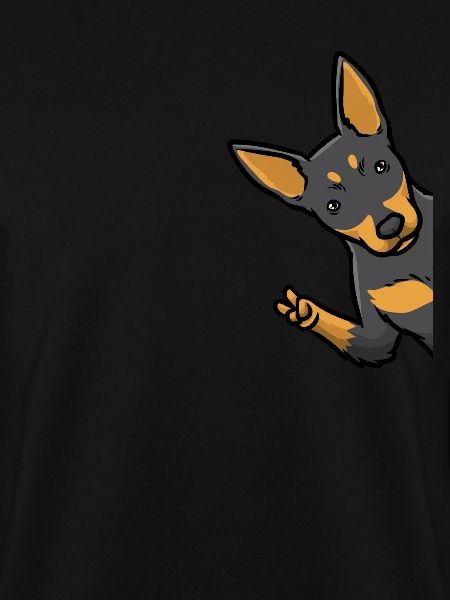 Kelpie Hund Australian Kelpie