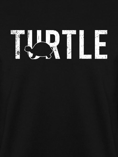 Turtle turtle