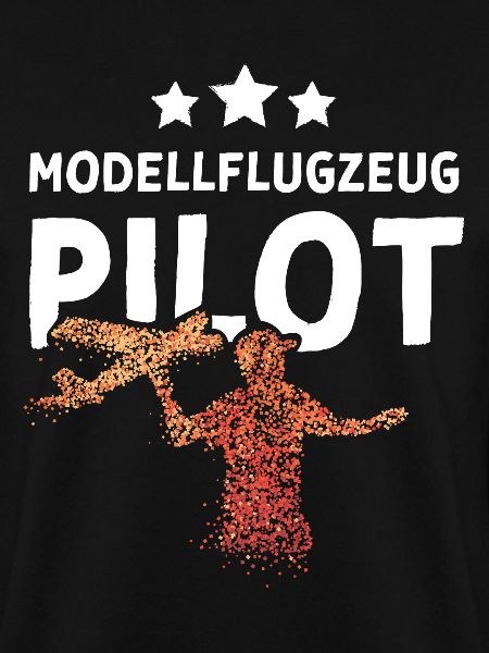 Modellflugzeug Pilot Modellfliegen