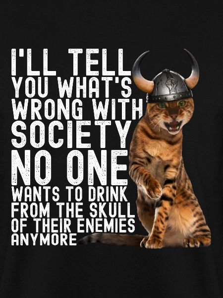 Viking Cat